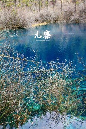 燃烧吧大脑装瓶子游戏