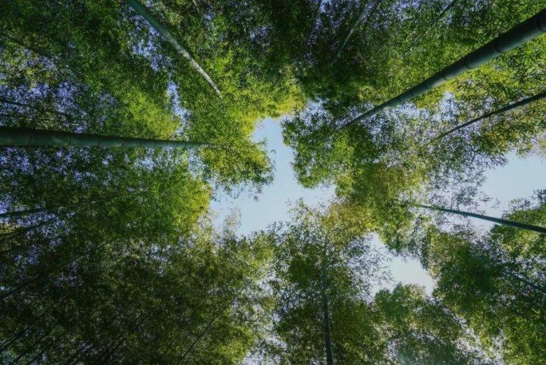 媒体人：之前不少人替扬科维奇辩解，请问他迷信的人状态好吗？