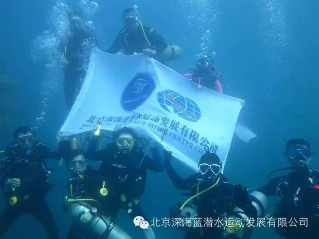 植物大战僵尸12