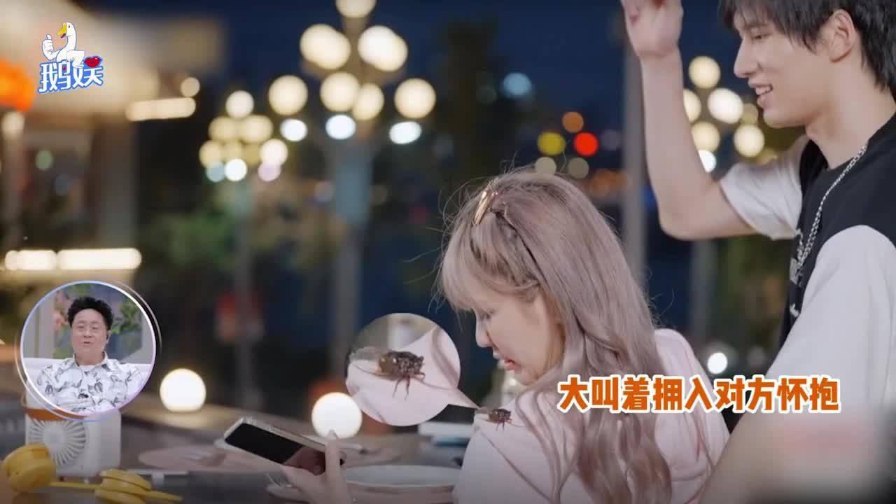 小猫钓鱼开船版最新版下载